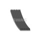 KANALLI KAYIS 6PK1025 FIAT ALFA ROMEO RENAULT